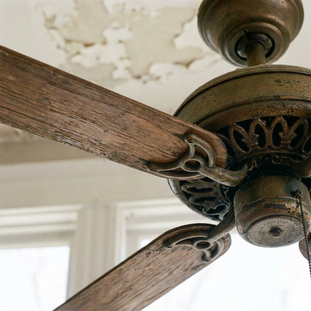 Close-up of a ceiling fan motor housing and blade bracket